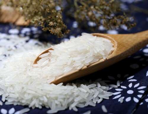 Sustainable Farming or False Promises? The Truth about SRP Rice in Pakistan